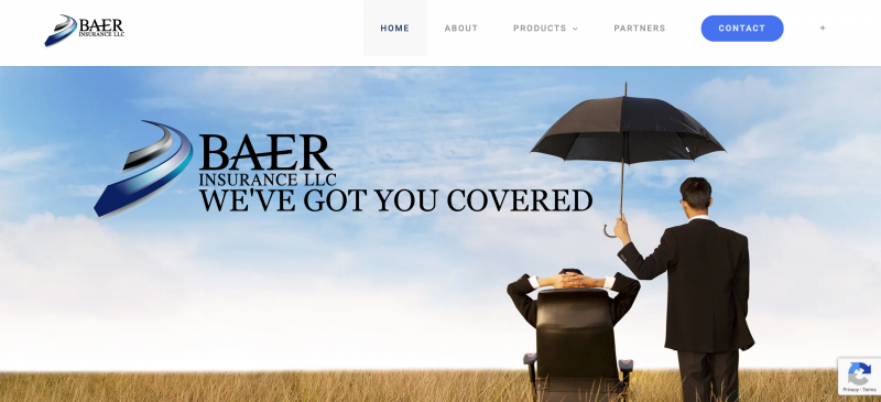 Baer Insurance Site Portal Image